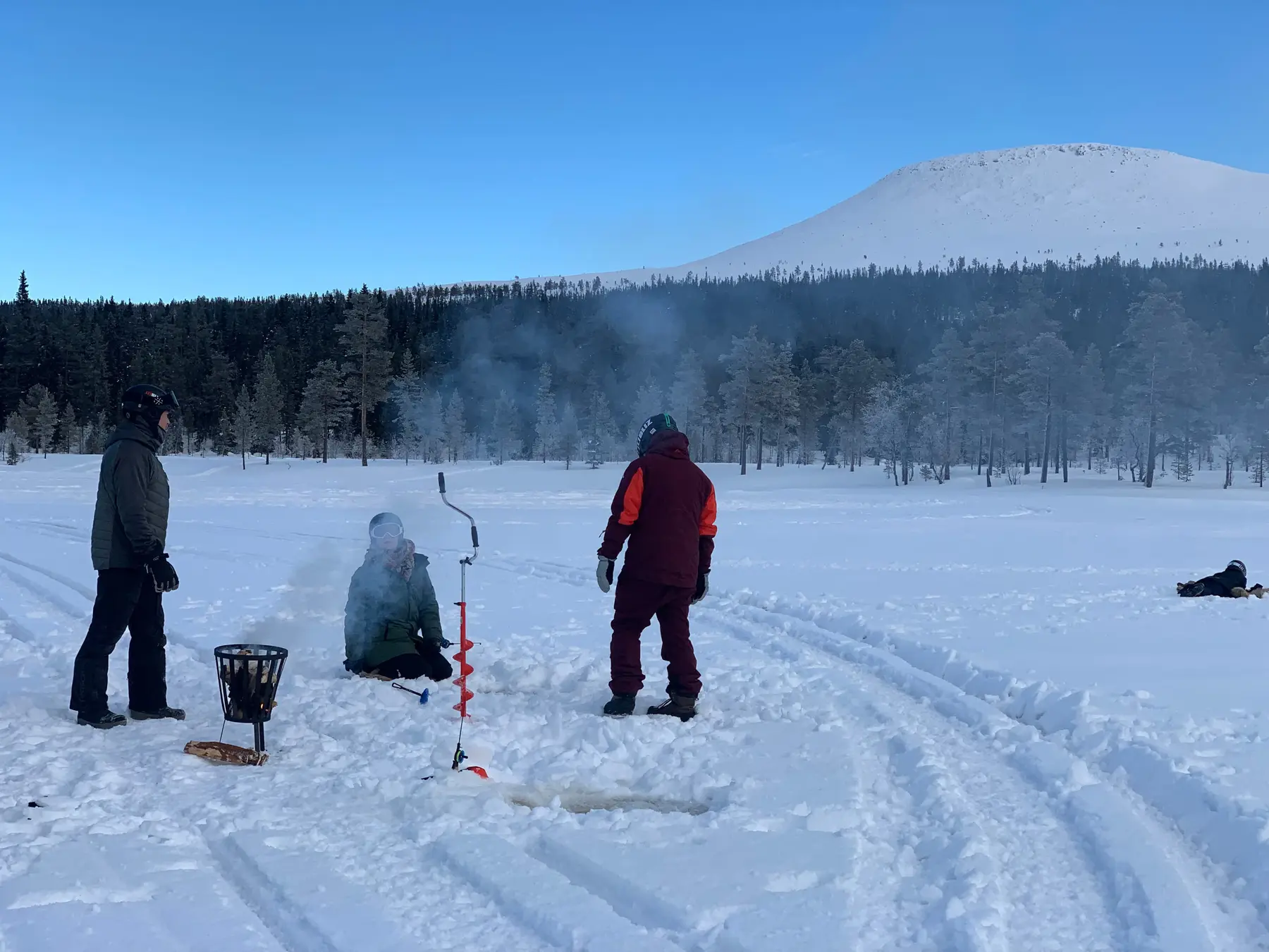 Ijsvissen