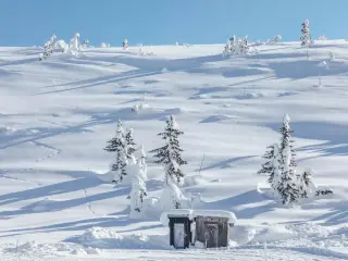 Omgeving sneeuw