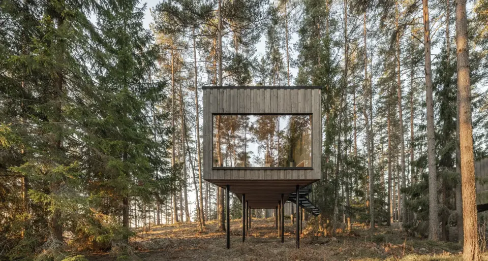 Prachtige treetop cabin suite in een bos in Zweden