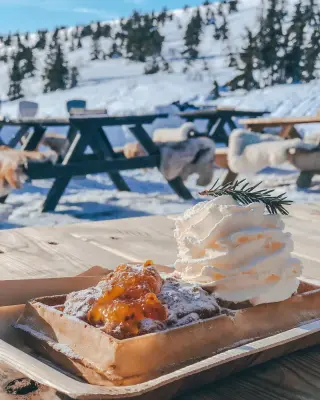 Wafel